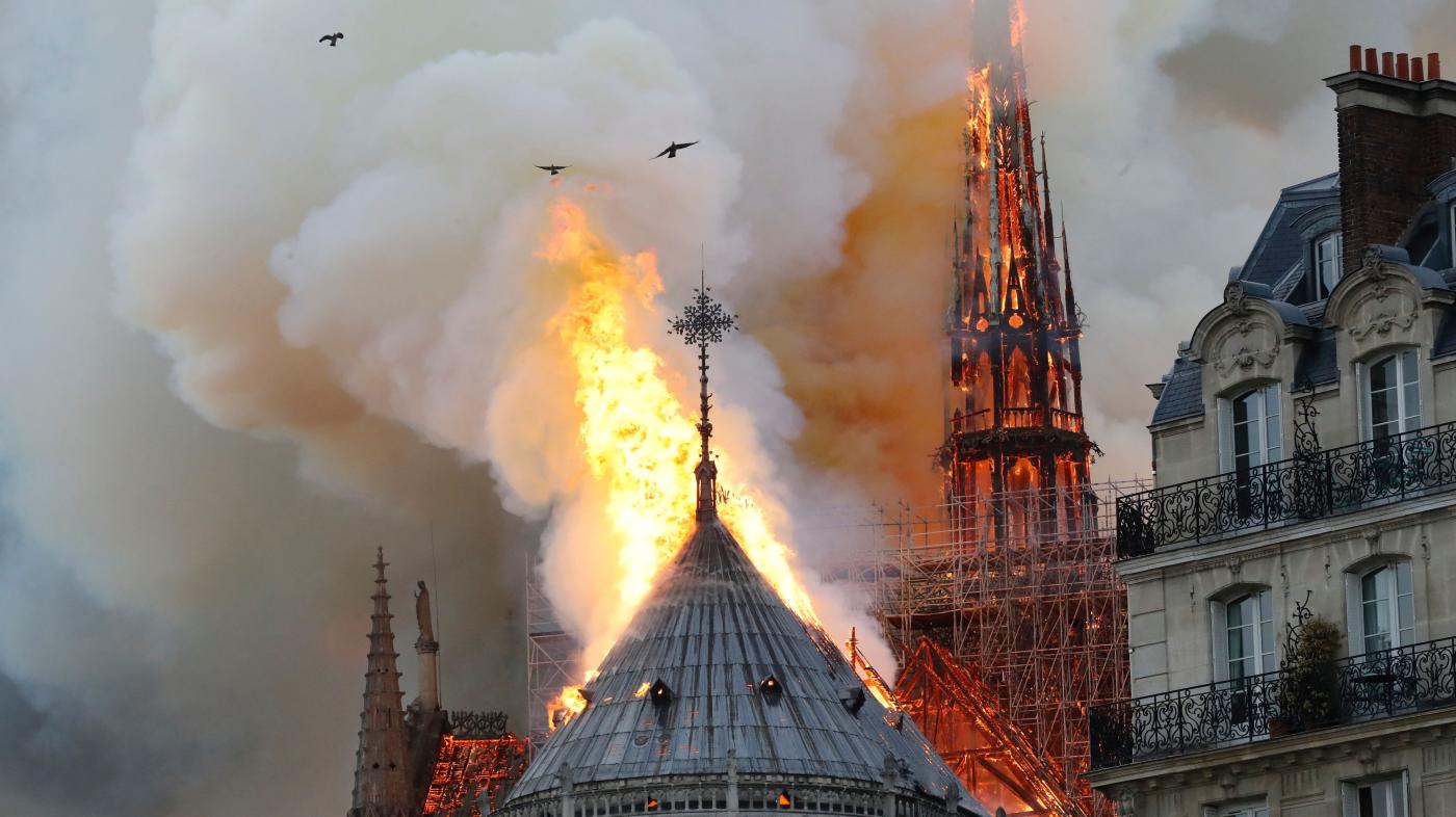 Foto de Os corvos estavam voando sobre o fogo de Notre Dame? Pedimos aos especialistas – Quartz.