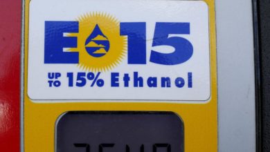 Foto de A aprovação de Biden do gás E15 afetará apenas 1,5% dos postos de gasolina — Quartzo
