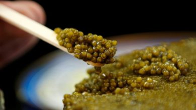 Foto de As últimas sanções da Europa incluem uma proibição de importação de caviar russo – Quartz