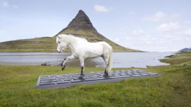 Foto de A melhor mensagem fora do escritório é escrita por um cavalo islandês — Quartz at Work