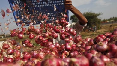 Foto de Índia procura ajuda de estudantes e start-ups para reduzir os preços da cebola — Quartz India