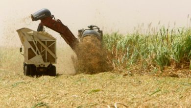 Foto de Turquia procura novamente arrendar terras agrícolas no Sudão — Quartz Africa