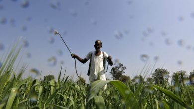 Foto de Os EUA, Emirados Árabes Unidos e Israel estão ajudando a Índia a combater a insegurança alimentar — Quartz India