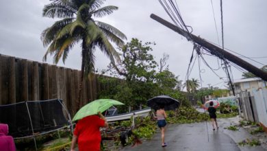 Foto de Por que Porto Rico não pode confiar na energia solar após o furacão Fiona – Quartz