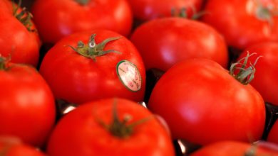 Foto de Por que os tomates são a exceção ao aumento dos preços dos alimentos?