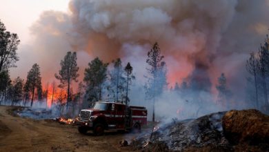Foto de O mundo está queimando.  O Vale do Silício pode apagar megaincêndios?