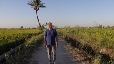 Foto de Agricultores no Egito estão usando aplicativos para combater as mudanças climáticas