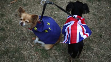 Foto de Terceiro aniversário do Brexit vê mais arrependimento do que nunca no Reino Unido