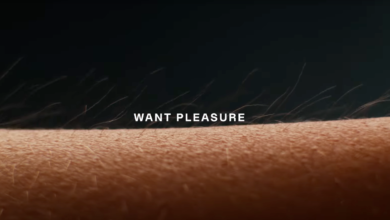 Foto de Anúncios da Equinox Gym fazem sexo, não exercícios físicos